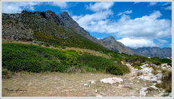 220123FRH_7143-w-web - Copy