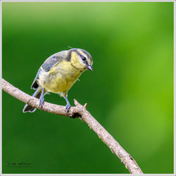 280625F8Z_8085-w-web - Copy