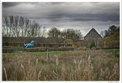 231117DSC_1202-w-web - Copy