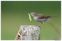 230517DSC_2511-w-web - Copy
