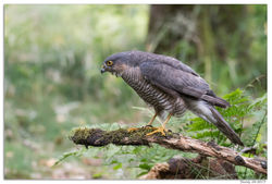 220617DSC_6635-w-web - Copy