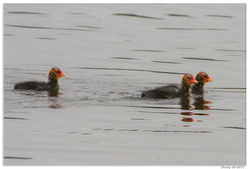 230517DSC_2619-w-web - Copy