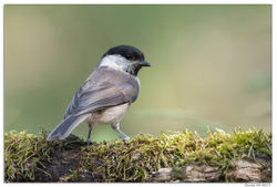 220617DSC_6813-w-web - Copy