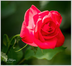 010726-D500_7858-w-webtd - Copy