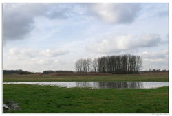 300118DSC_1657-w-web - Copy