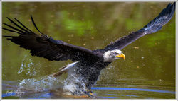 190426_Z8F_4568-w-webts - Copy