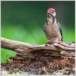 200625_Z8F_7520-w-web - Copy