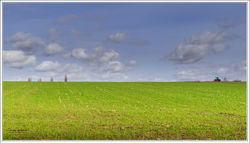 200224DSC_1870-w-web-c - Copy