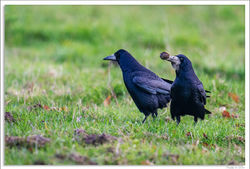 301019DSC_6251