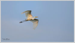 140725F8Z_3016-w-webts - Copy