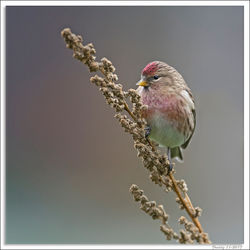 211117DSC_2915-w-web - Copy