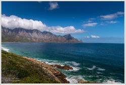 220123FRH_7159-w-web - Copy