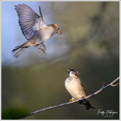 200126_Z8F_5201-w-web - Copy