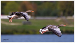 230925_DSC_5990-w-webts - Copy