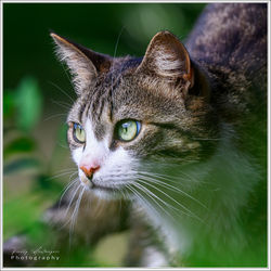 200625_Z8F-7132-w-web - Copy