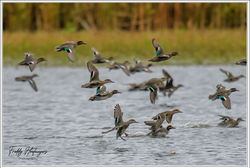 021125_F8Z_6482-w-webtd - Copy