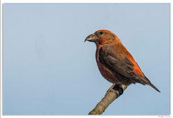 221119DSC_7192-w-web - Copy