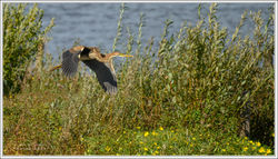 190925_F8Z_7568-w-web - Copy