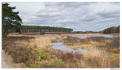 110318DSC_2125-w-f-web - Copy