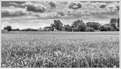 220724DSC_2820-w-webzw - Copy