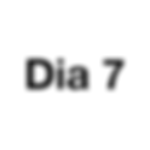 07.png