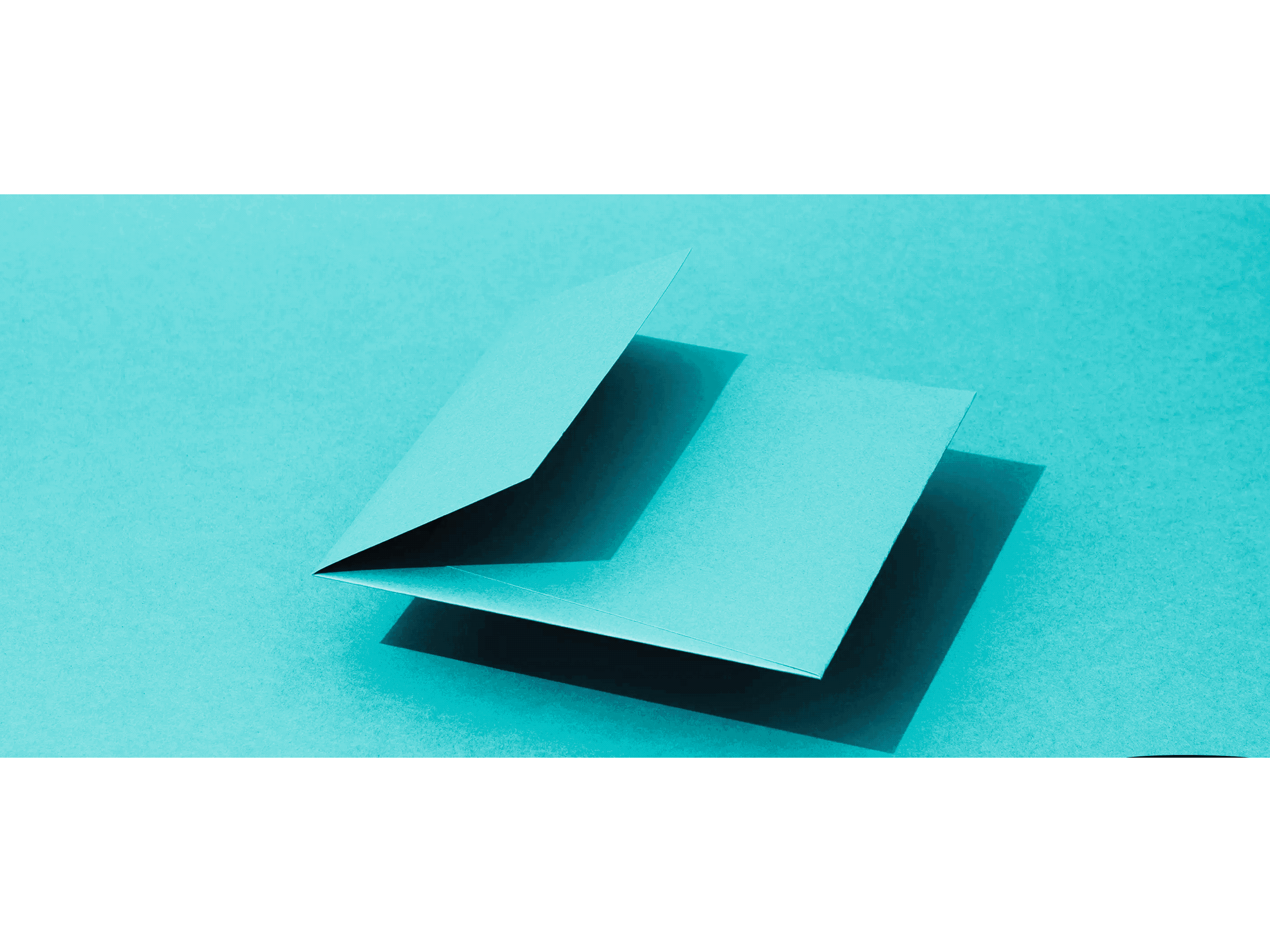Untitled_Artwork 8.gif