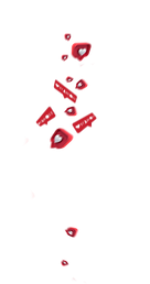image (7).png