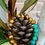 Thumbnail: Great Escape - Diffusing **SOLD OUT**