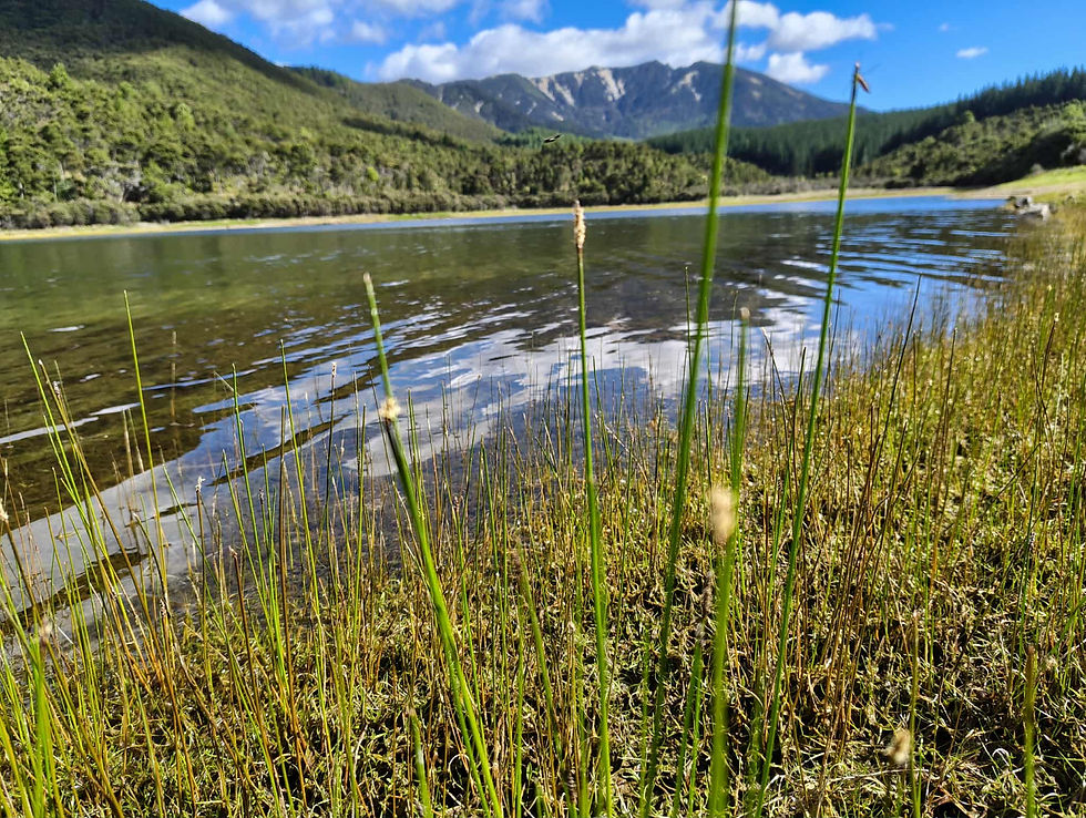 A beautiful calm day to spend time doing good things