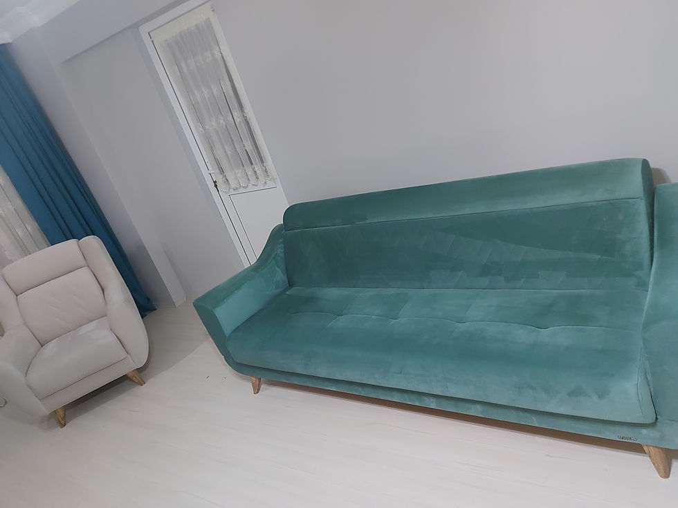 samsun ilinde koltuk yıkama hizmeti veren firma esila temizlik