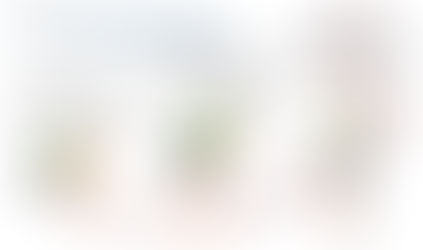 Alguns exercícios que podem contribuir para o seu bem estar, experimente!