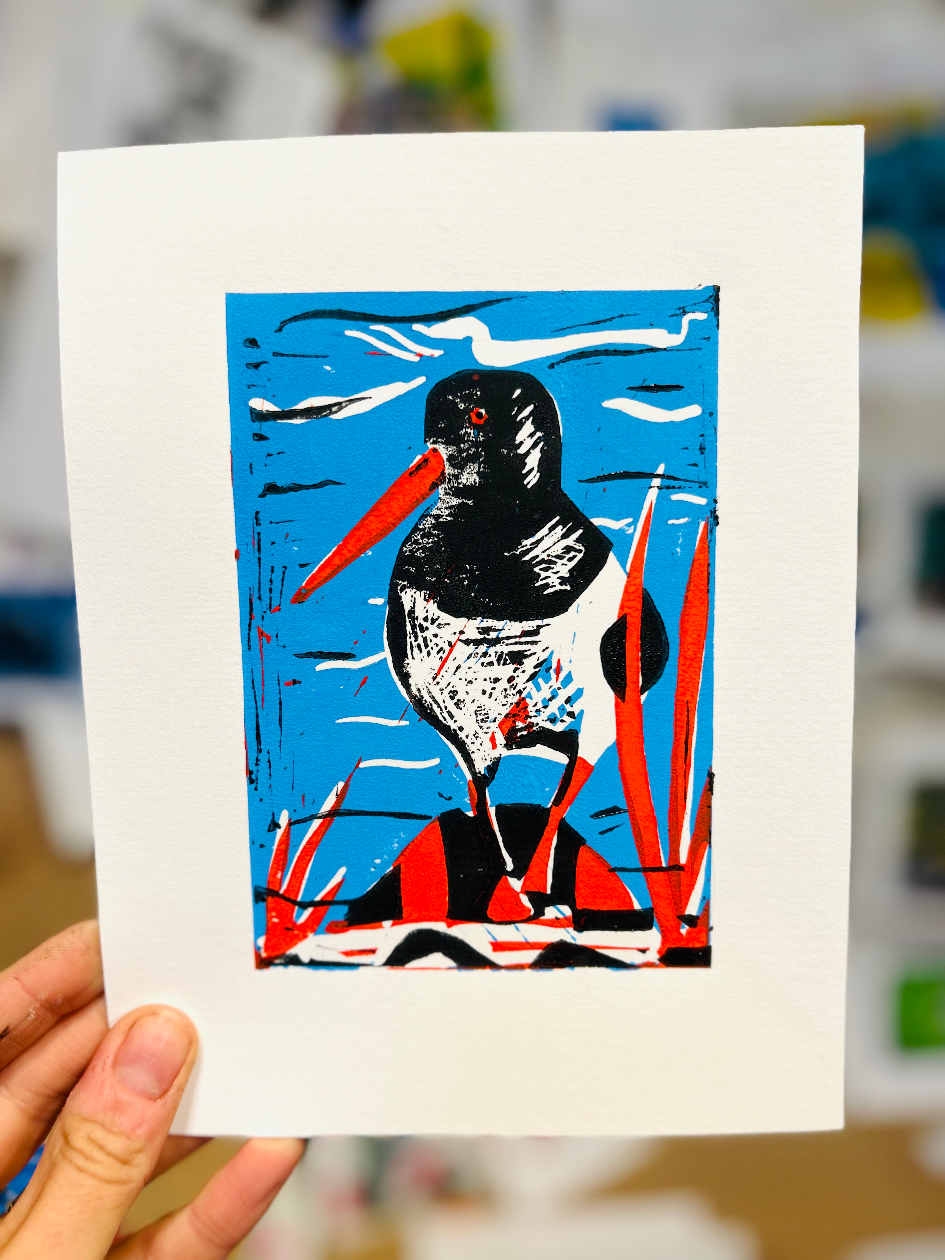 Oystercatcher Linocut
