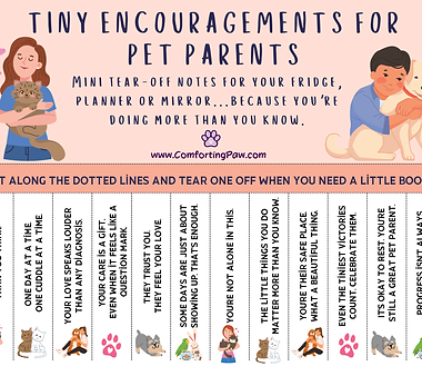 Tiny Encouragements for Pet Parents.png