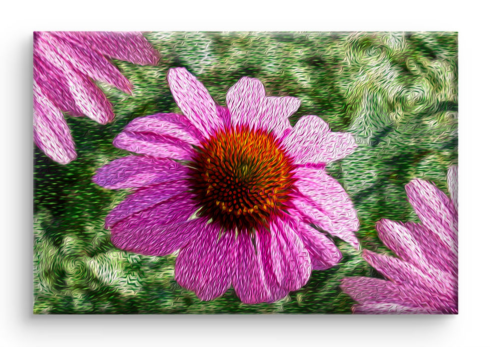 In Bloom