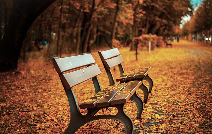 Bank mit Herbstlaub
