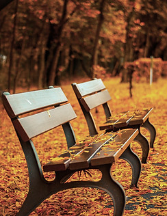 Haar en huid in november, De holistische harenkalender