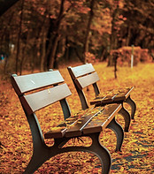 Bank mit Herbstlaub
