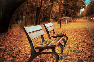 Banc sur les feuilles d'automne