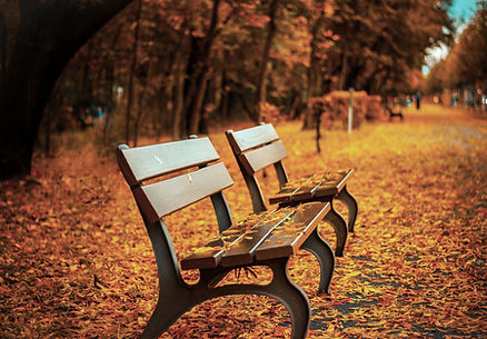 Autumn Park Bench