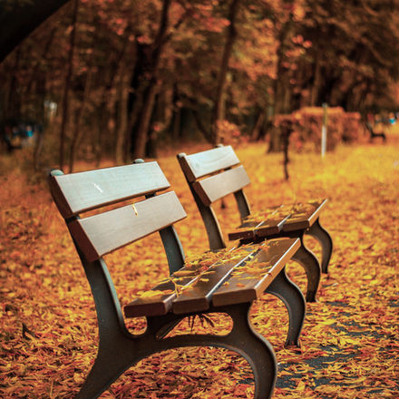 Empty benches waiting for you to take up the room, 