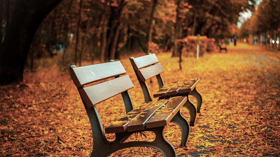 SEMINAR HERBST