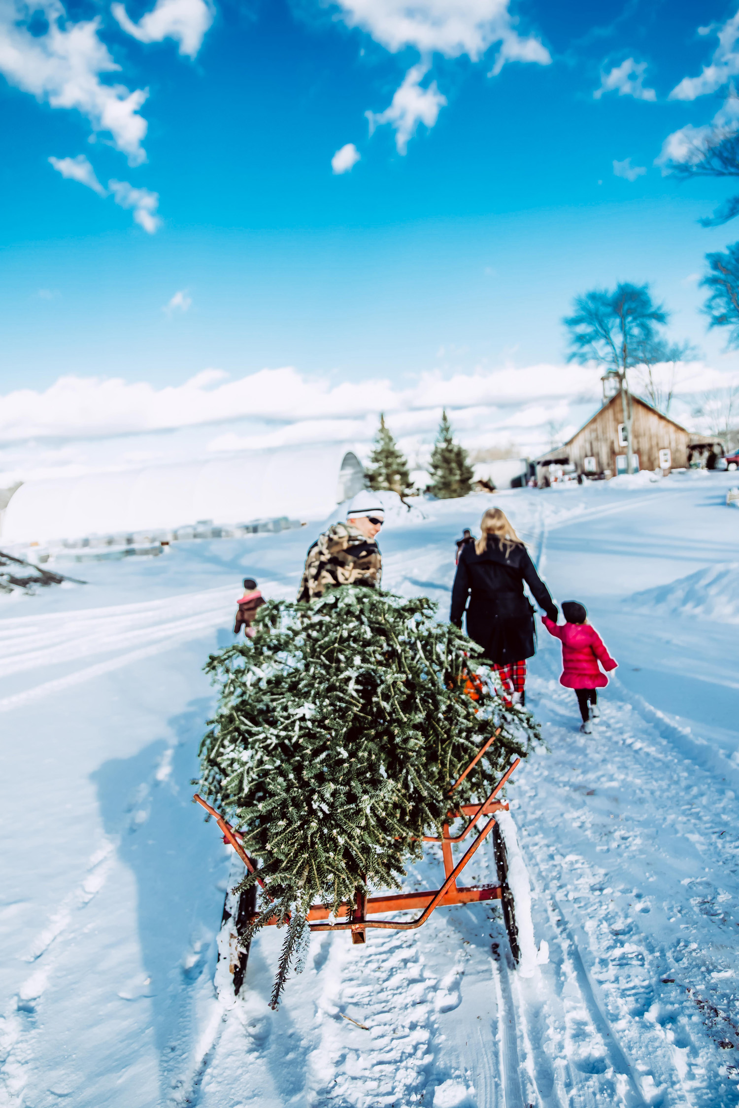 A Winter Family Session