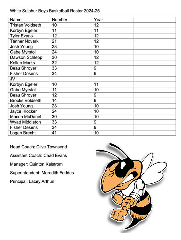 25-White-Sulphur-Boys-Roster.jpg