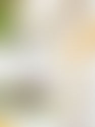 Everything you Need to Know About Leaky Gut Syndrome