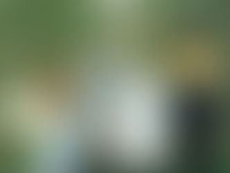 2024.08.02 |【観覧】xiexie wellwell Tour 2024