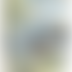 2026.05.17 |【観覧】昼)Oaiko pre.「これから」in the blue shirt × Bone Us