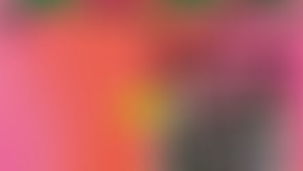 2025.09.26 |【観覧】KIKI live in Tokyo