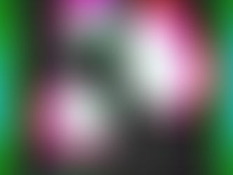 「巷のmyストーリー/ゲリラランデブー」DMBQ ✖︎ SPOILMAN