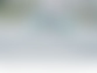 2026.02.23 |【観覧】夜)Temples tour 東京公演