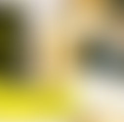 2026.06.10 |【観覧】DSPS "yolk on rice" release Japan tour in Tokyo